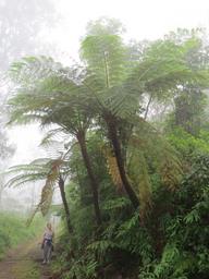 Cliquez pour agrandir l'image