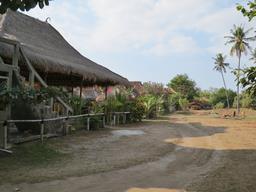 Cliquez pour agrandir l'image