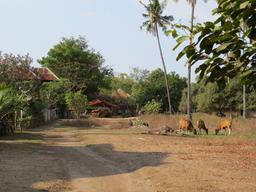 Cliquez pour agrandir l'image