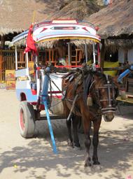 Cliquez pour agrandir l'image