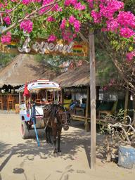 Cliquez pour agrandir l'image