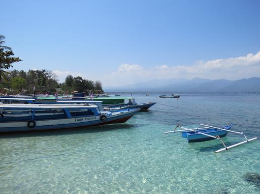 Cliquez pour agrandir l'image