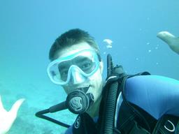 Cliquez pour agrandir l'image