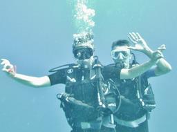 Cliquez pour agrandir l'image