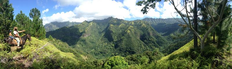 Cliquez pour agrandir l'image