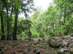 Cliquez pour agrandir l'image