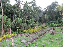 Cliquez pour agrandir l'image