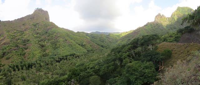 Cliquez pour agrandir l'image