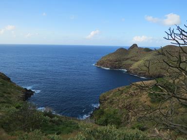 Cliquez pour agrandir l'image