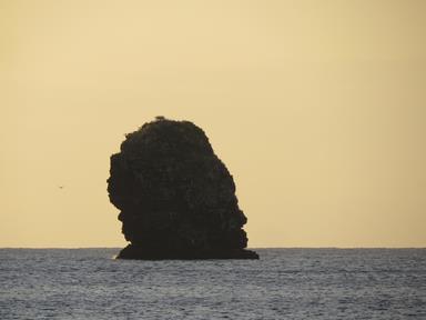 Cliquez pour agrandir l'image