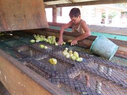 Cliquez pour agrandir l'image Cliquez pour agrandir l'image