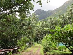 Cliquez pour agrandir l'image