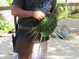 Cliquez pour agrandir l'image