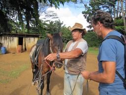 Cliquez pour agrandir l'image