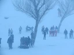 Cliquez pour agrandir l'image