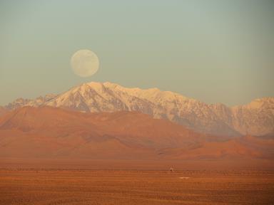 Cliquez pour agrandir l'image