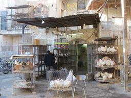 Cliquez pour agrandir l'image