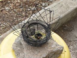 Cliquez pour agrandir l'image