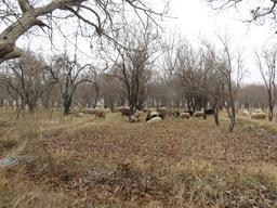 Cliquez pour agrandir l'image