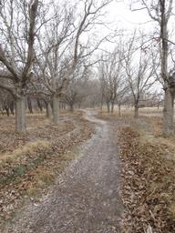 Cliquez pour agrandir l'image