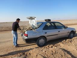 Cliquez pour agrandir l'image