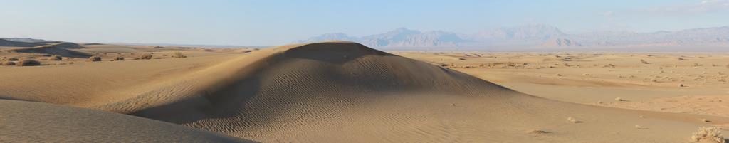 Cliquez pour agrandir l'image