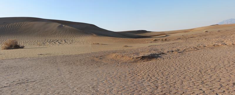 Cliquez pour agrandir l'image