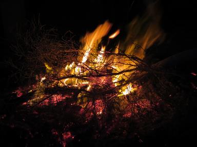 Cliquez pour agrandir l'image