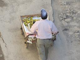 Cliquez pour agrandir l'image