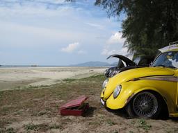 Cliquez pour agrandir l'image