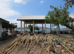 Cliquez pour agrandir l'image