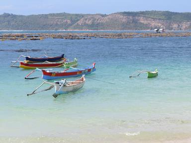 Cliquez pour agrandir l'image