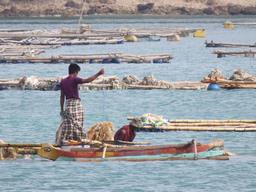 Cliquez pour agrandir l'image