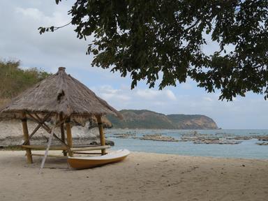 Cliquez pour agrandir l'image