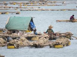 Cliquez pour agrandir l'image