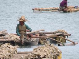 Cliquez pour agrandir l'image