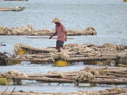 Cliquez pour agrandir l'image