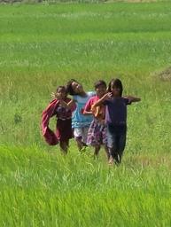 Cliquez pour agrandir l'image