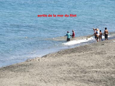 Cliquez pour agrandir l'image