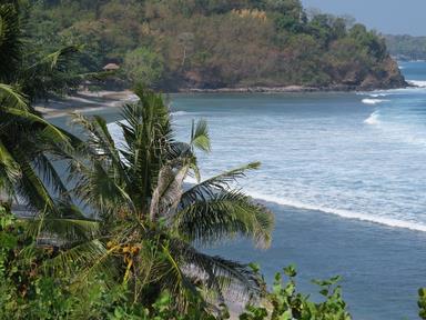 Cliquez pour agrandir l'image