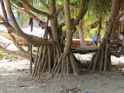 Cliquez pour agrandir l'image