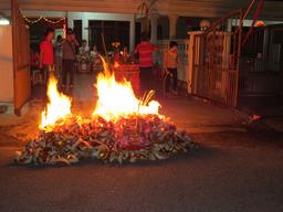 Cliquez pour agrandir l'image