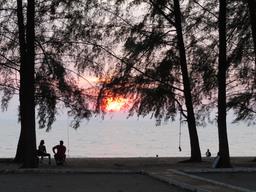 Cliquez pour agrandir l'image