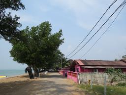 Cliquez pour agrandir l'image