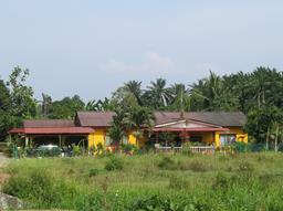 Cliquez pour agrandir l'image