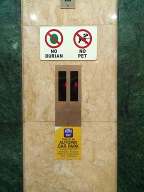 Cliquez pour agrandir l'image