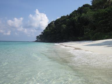 Cliquez pour agrandir l'image