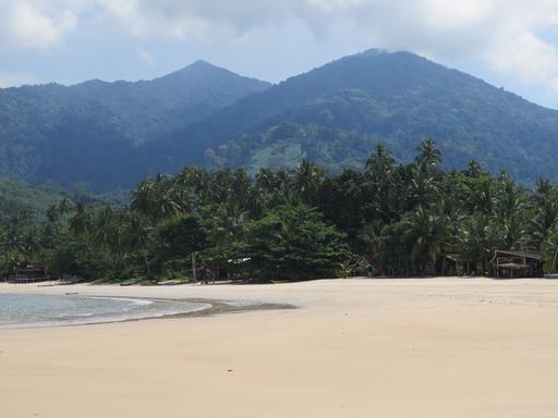 Cliquez pour agrandir l'image