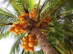 Cliquez pour agrandir l'image