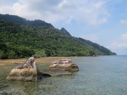 Cliquez pour agrandir l'image